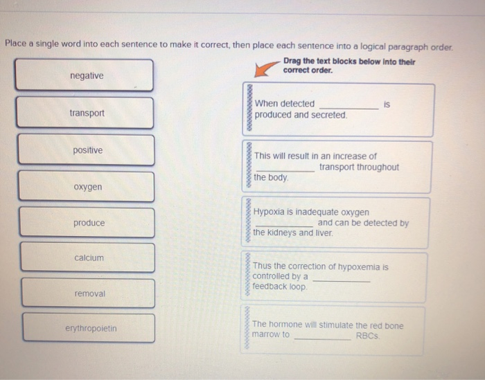 solved-place-a-single-word-into-each-sentence-to-make-it-chegg