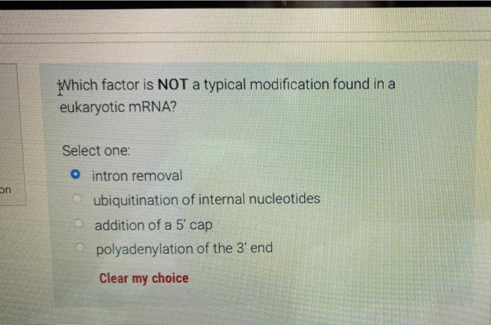 on
Which factor is NOT a typical modification found in a
eukaryotic mRNA?
Select one:
intron removal
ubiquitination of intern