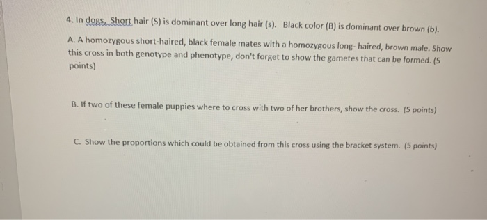Solved 4. In dogs. Short hair (S) is dominant over long hair | Chegg.com