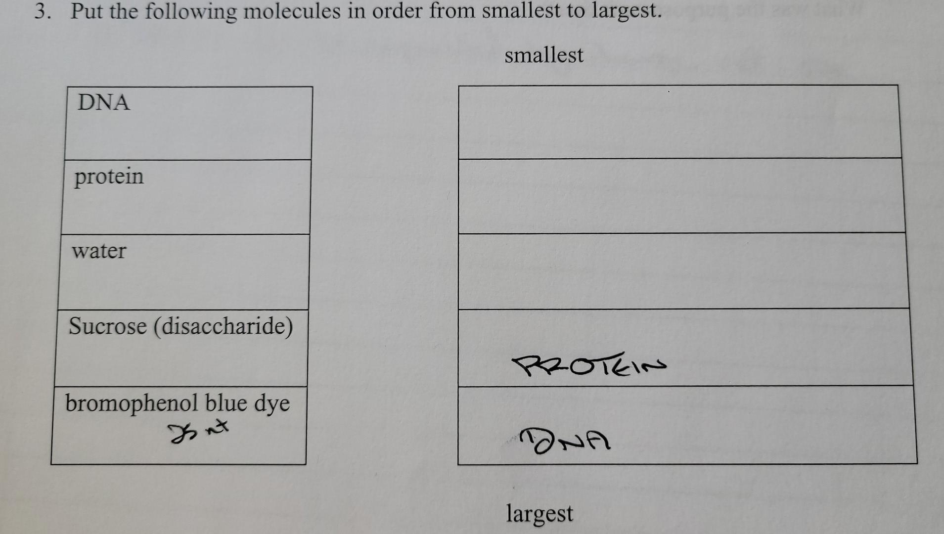 Solved 3. Put the following molecules in order from smallest | Chegg.com