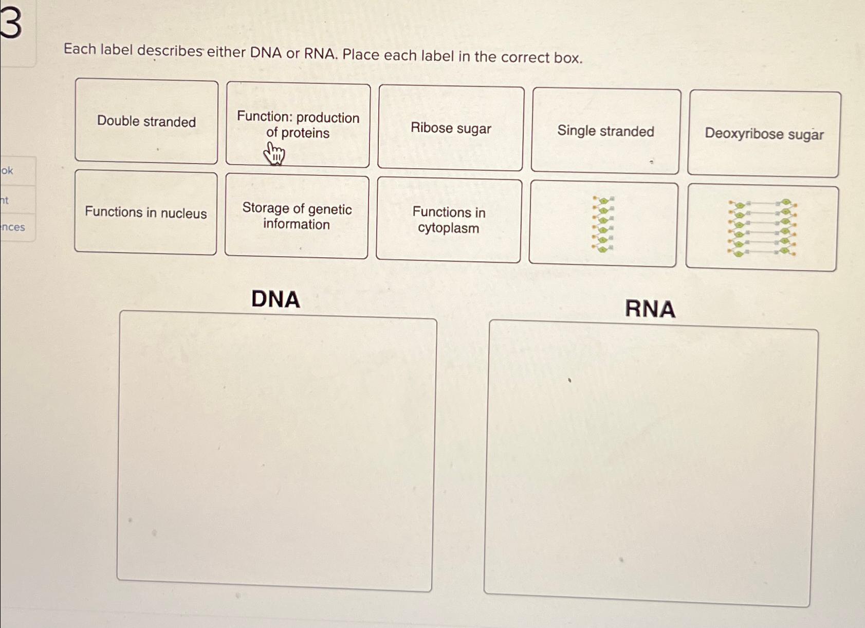 Solved Each label describes either DNA or RNA. Place each | Chegg.com