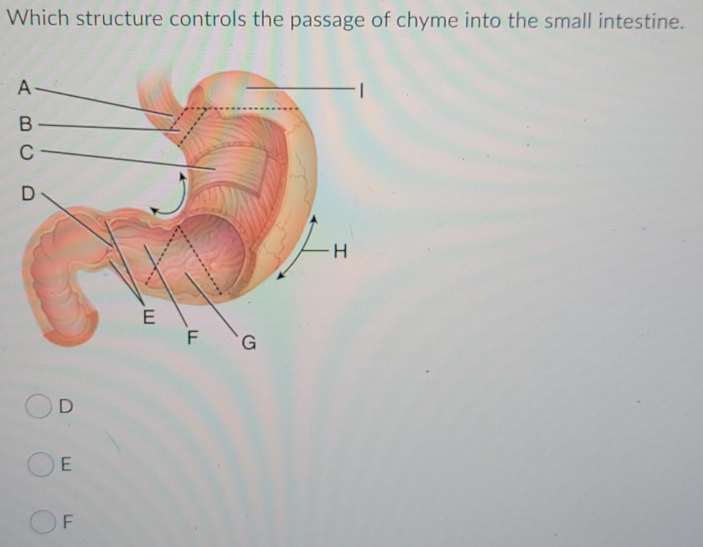 Solved Which structure controls the passage of chyme into | Chegg.com