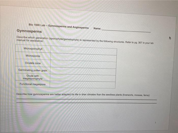 Solved Bio 1500 Lab - Gymnosperms and Angiosperms Name: | Chegg.com