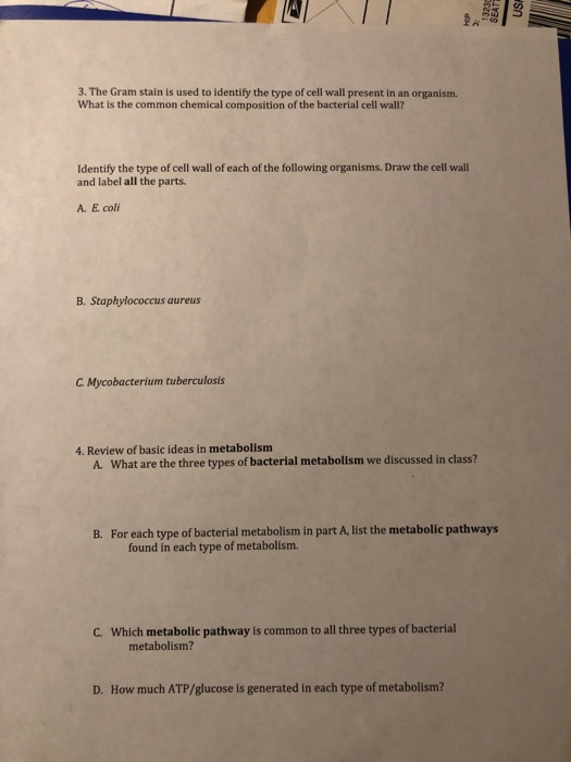 Solved Usa 3 The Gram Stain Is Used To Identify The Type Chegg Com