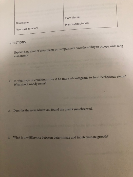 Solved Plant Name: Plant Name: Plant's Adaptation: Plant's | Chegg.com