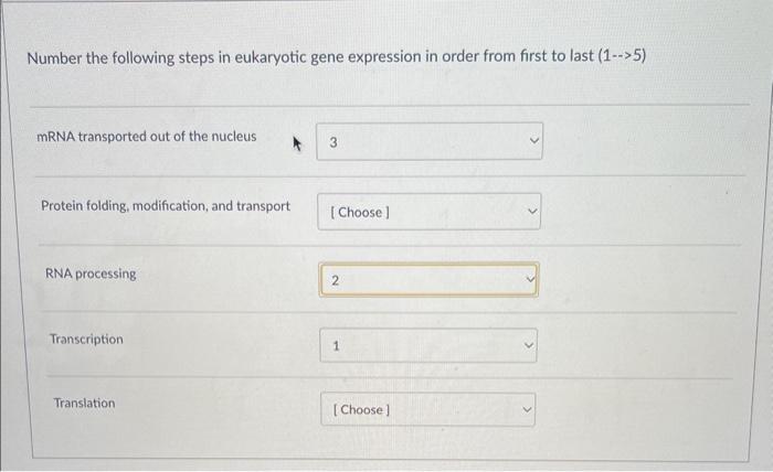 Solved Number the following steps in eukaryotic gene | Chegg.com