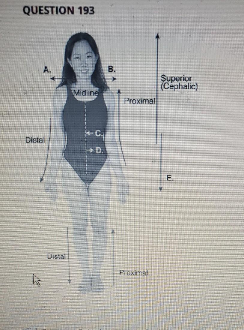 Solved QUESTION 193 A. B. Midline Superior (Cephalic) | Chegg.com
