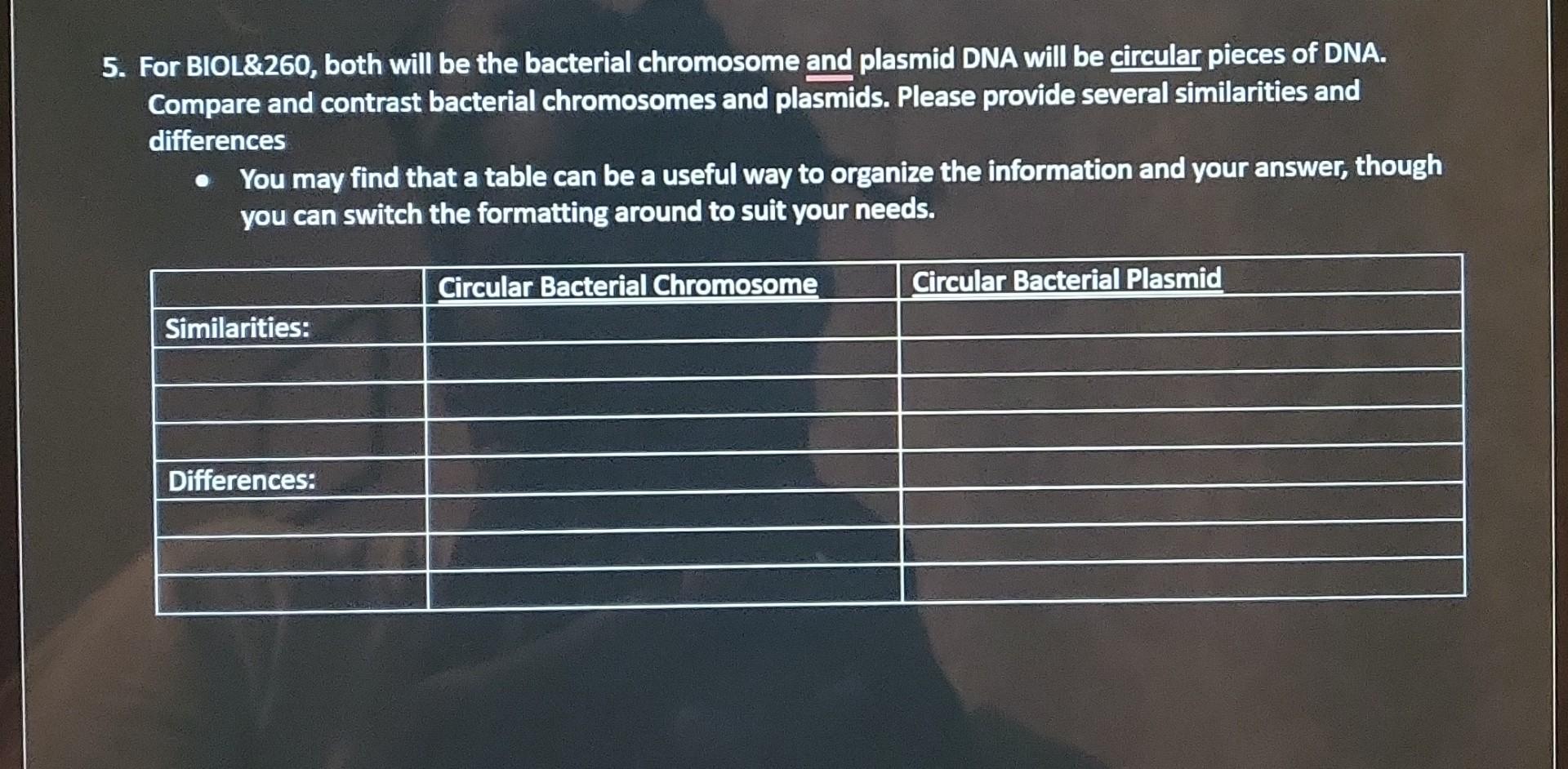 Solved 4. Heat fixing both kills bacterial cells (which we