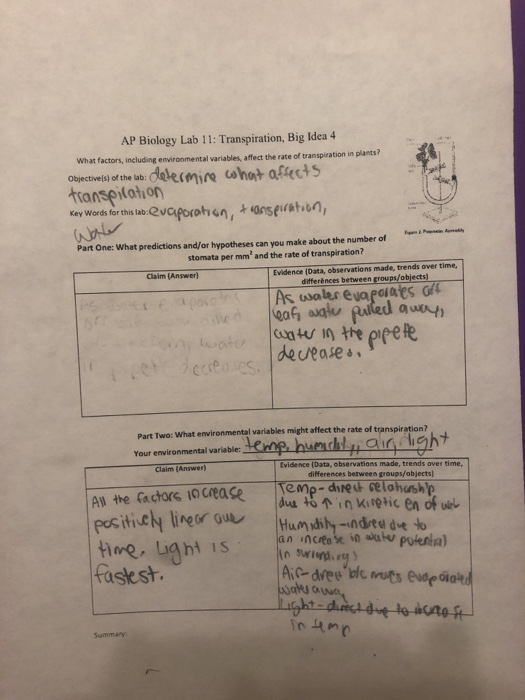 Solved AP Biology Lab 11 Transpiration, Big Idea 4 What