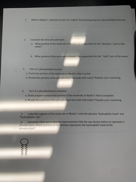 Solved Membrane Structure What molecules make up a membrane! | Chegg.com