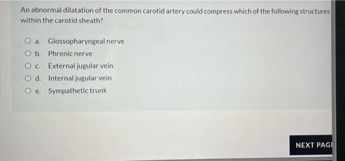 Solved An abnormal dilatation of the common carotid artery | Chegg.com