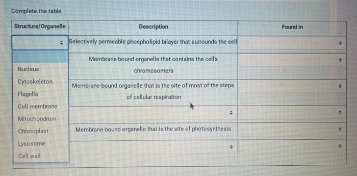 read the essay again and complete the table