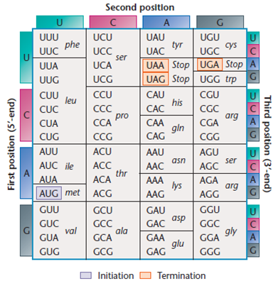 Solved: Shown below are several amino acid substitutions in the ...