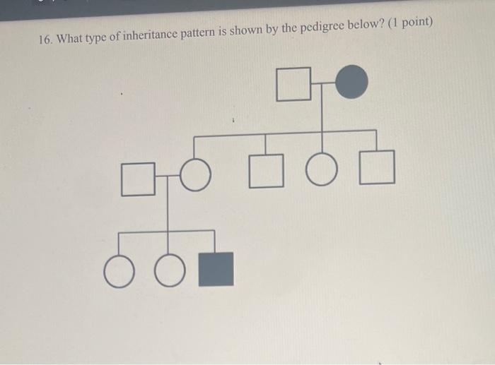 Solved 16. What type of inheritance pattern is shown by the | Chegg.com