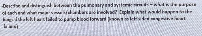 Solved -Describe and distinguish between the pulmonary and | Chegg.com