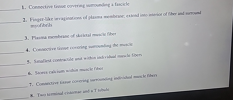 Solved Connective tissue covering surrounding a | Chegg.com