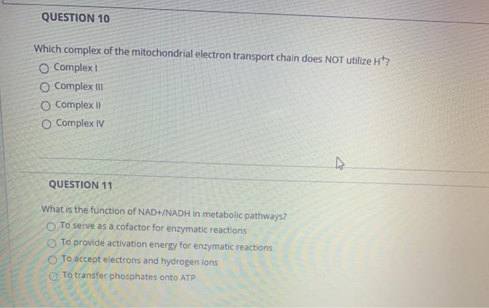 Solved QUESTION 10 Which complex of the mitochondrial | Chegg.com