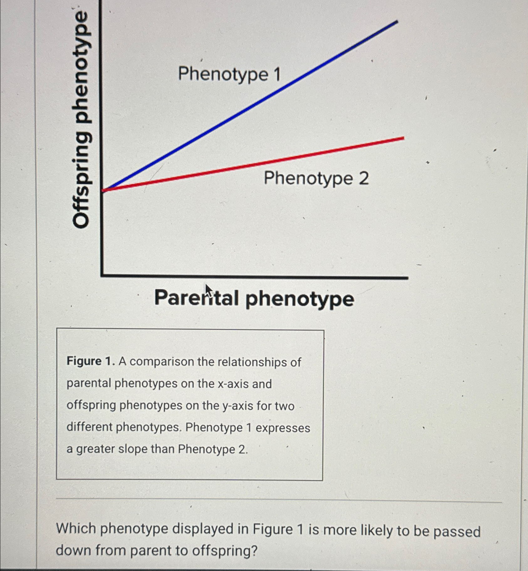 Solved Parefital phenotypeFigure 1. ﻿A comparison the | Chegg.com
