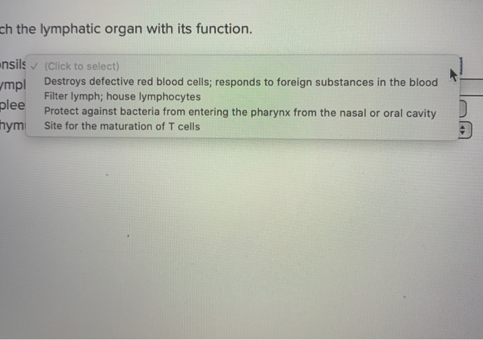 Match Each Lymphatic Cell With Its Function Solved Match the lymphatic organ with its function. 1. | Chegg.com