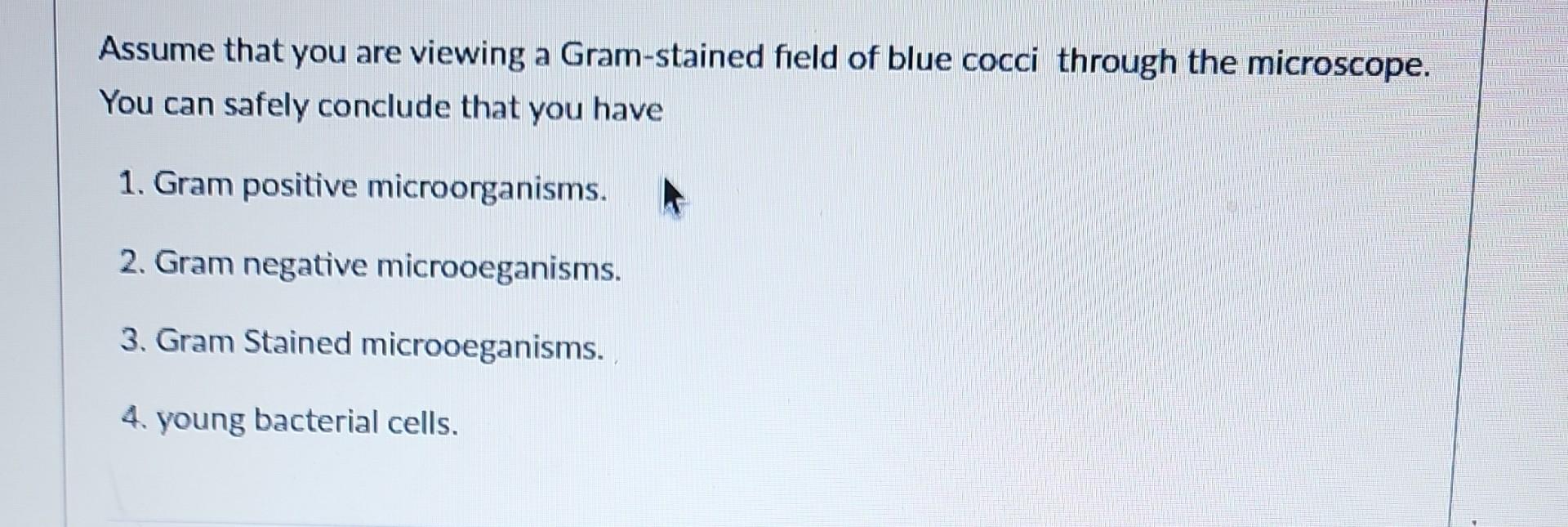 Solved Assume that you are viewing a Gram-stained field of | Chegg.com