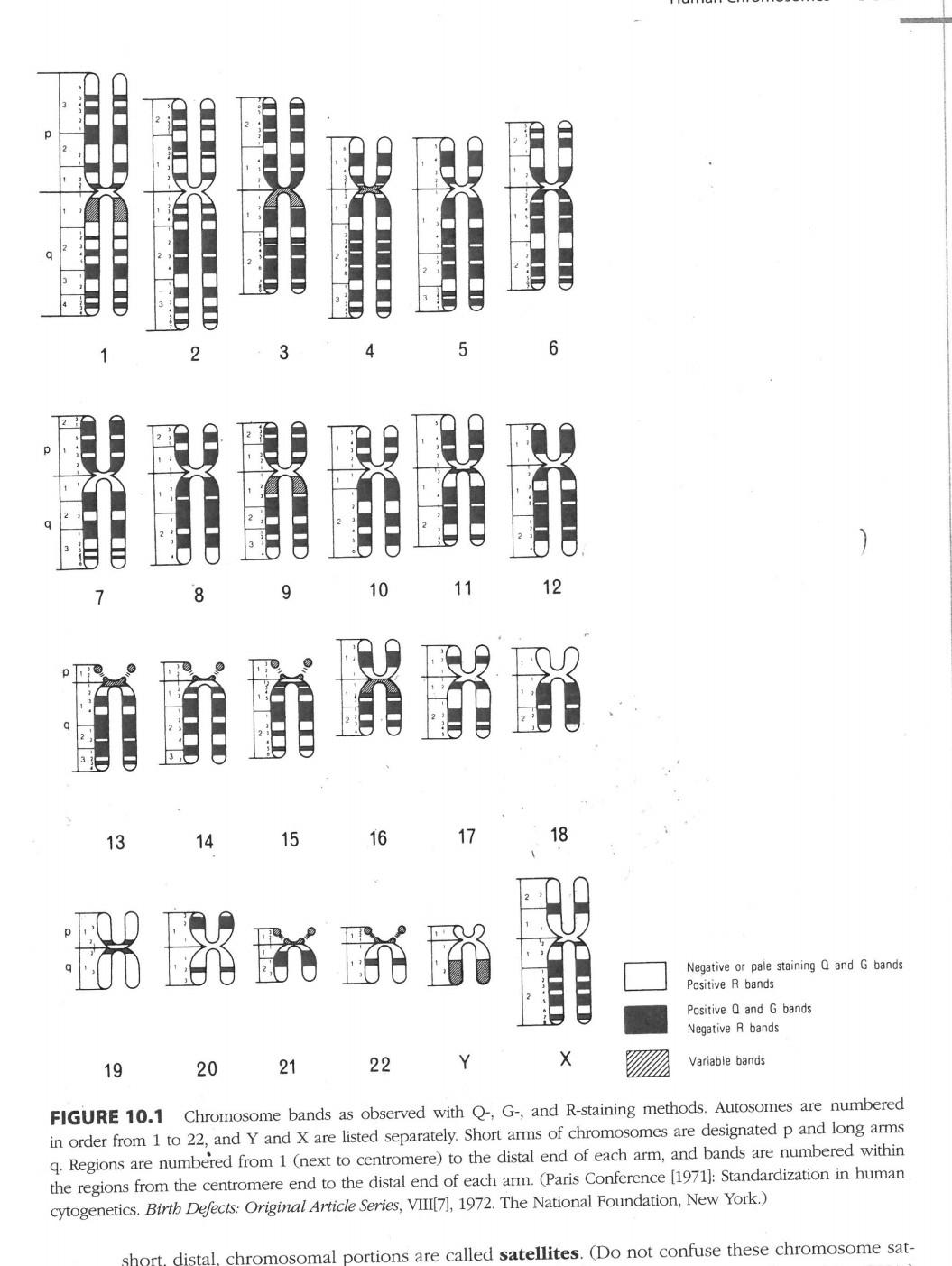 Solved 1. Use figure 10.1 in your lab manual to answer the | Chegg.com