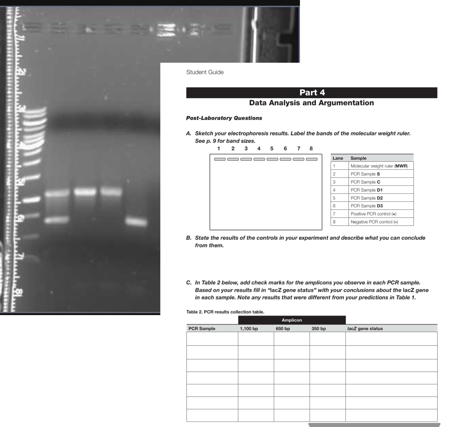 Please show work for all questions. A,B, ﻿C include | Chegg.com