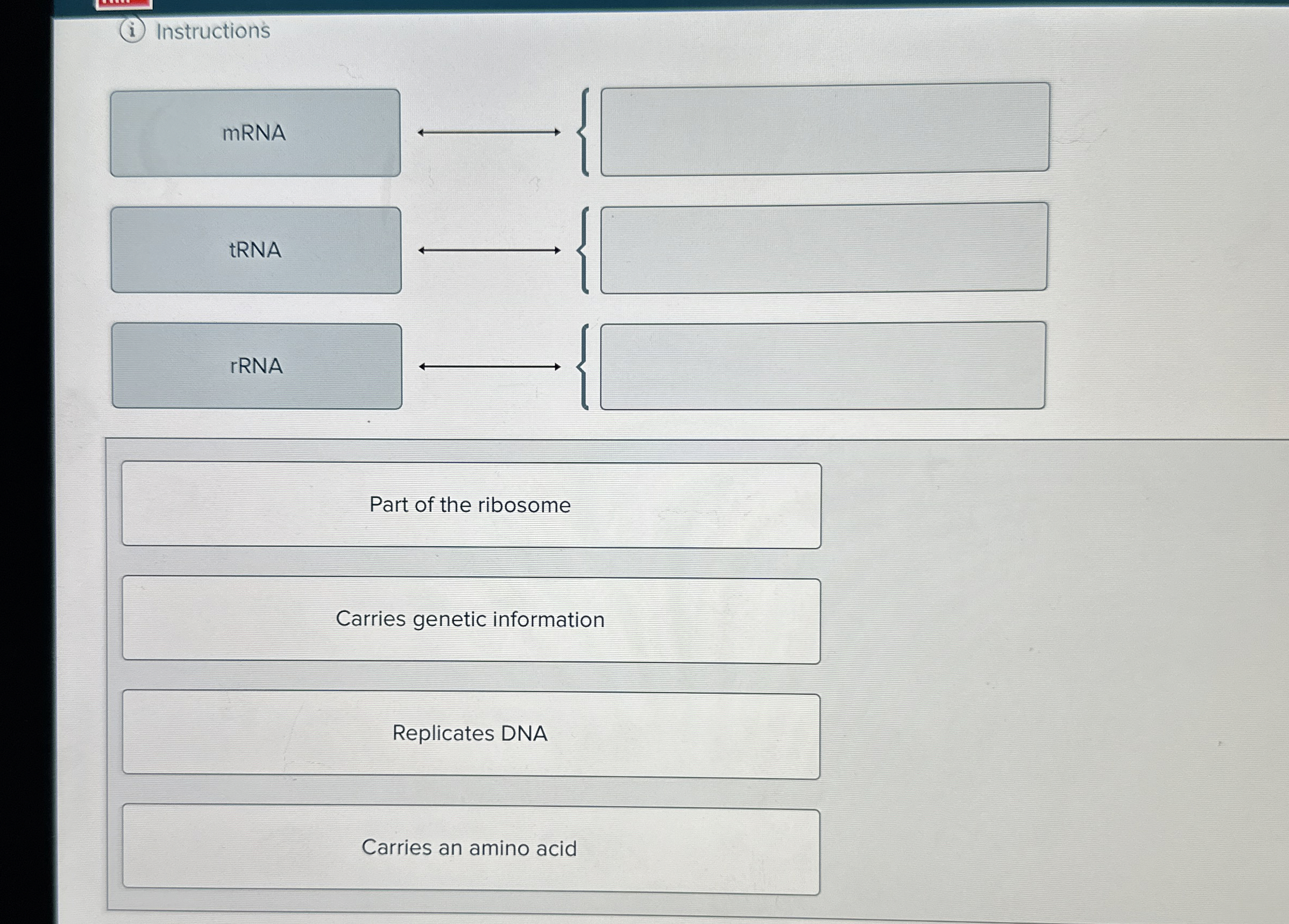Solved (i) ﻿Instructions Part of the ribosomeCarries