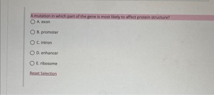 Solved A mutation in which part of the gene is most likely | Chegg.com