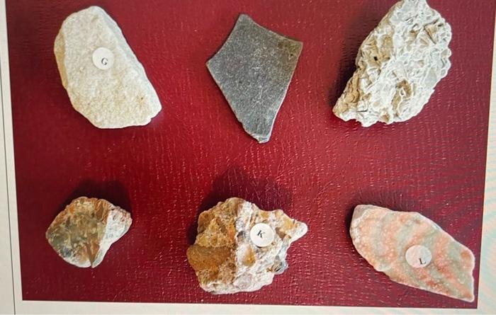 1. Sample G is an example of a: a. Clastic | Chegg.com