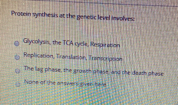 Solved Protein synthesis at the genetic level involves: | Chegg.com