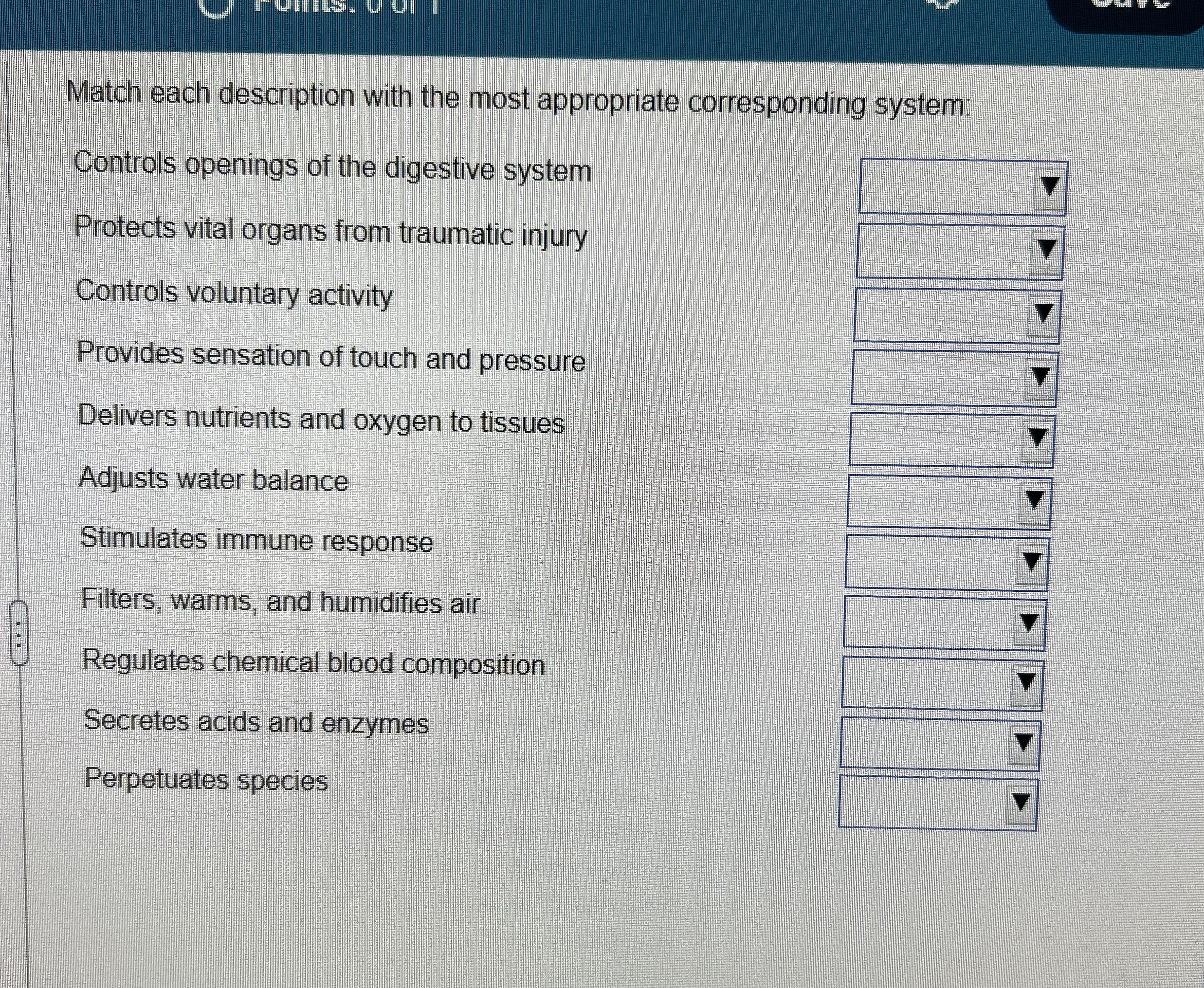 Solved Match each description with the most appropriate | Chegg.com