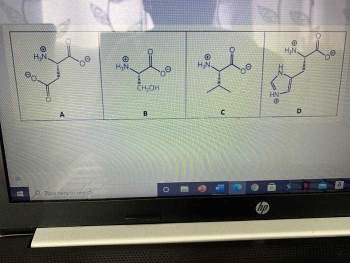 Solved TION 14 Using the structures of the amino acids shown | Chegg.com