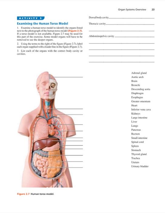 Solved Lab 1 & 2 Study Guide 1. Use the Lab Manual (by | Chegg.com