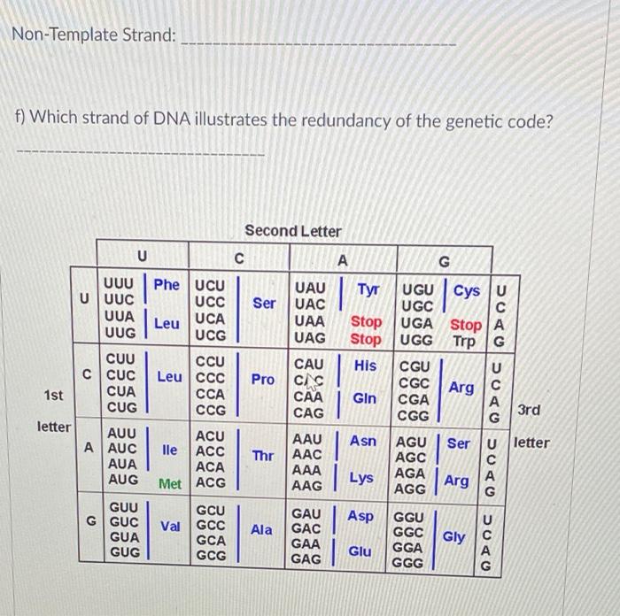 Solved A short sequence of the template strand of DNA is | Chegg.com