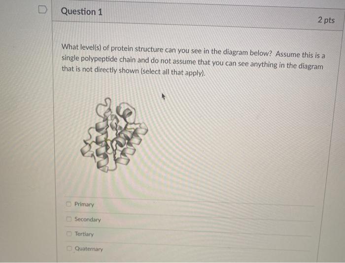 Solved Question 1 2 pts What level(s) of protein structure | Chegg.com