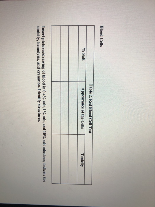 Solved Part 2, Osmosis Elodea Cells Table 1. Elodea Cell