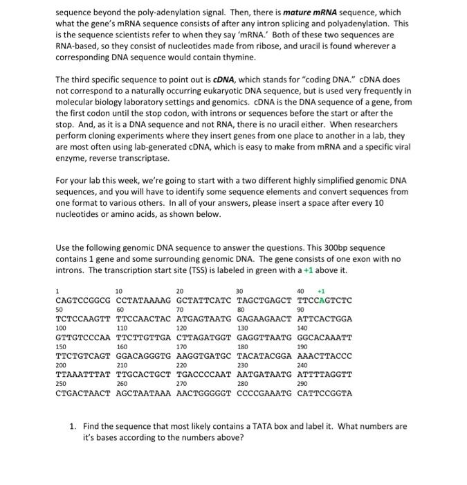 BIO 3321L GENETICS LAB #5: From DNA to Protein Part | Chegg.com