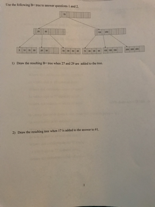 Solved Use the following B+ tree to answer questions I and | Chegg.com