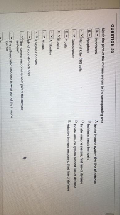 Solved QUESTION 23 Match the parts of the immune system to | Chegg.com