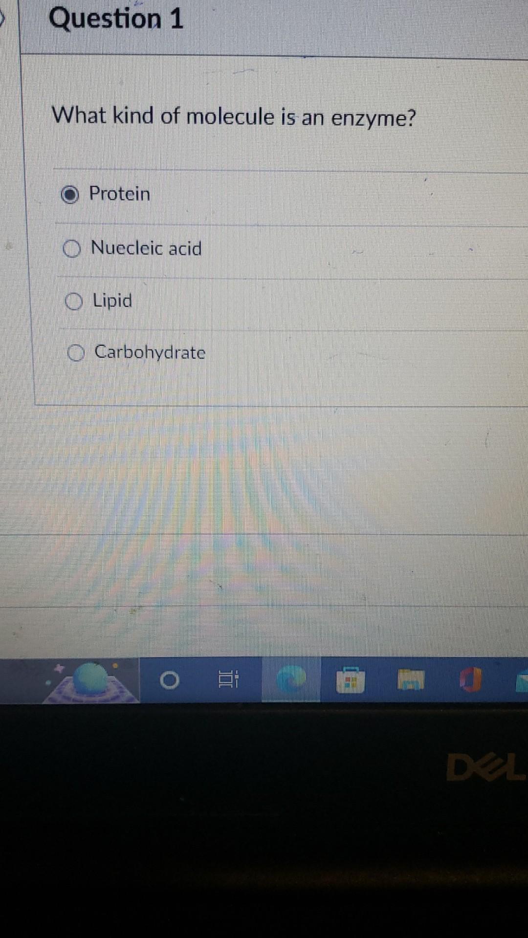 Solved What kind of molecule is an enzyme? Protein Nuecleic