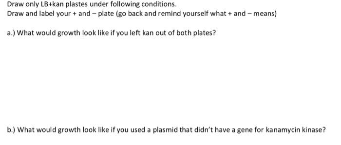 Draw only LB+kan plastes under following conditions.
Draw and label your \( + \) and \( - \) plate (go back and remind yourse
