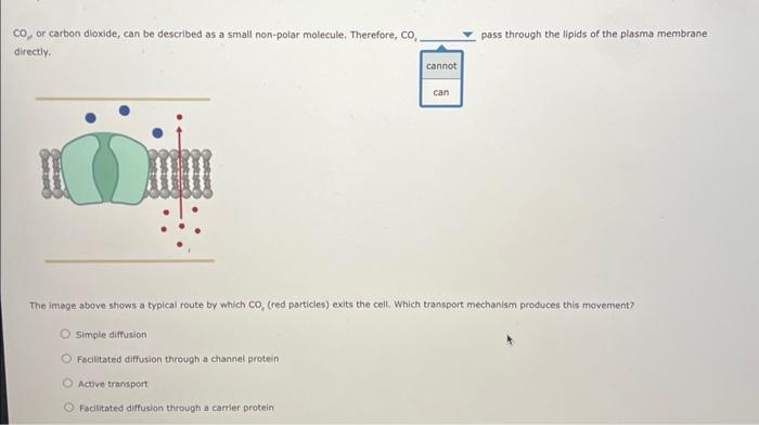 Solved 3. Comparing passive and active transport The | Chegg.com