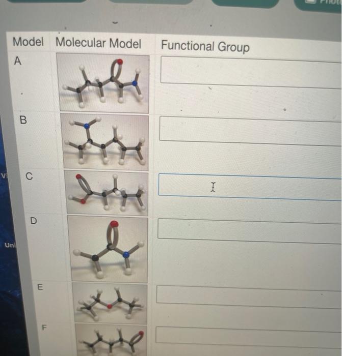 Solved Model Molecular Model Functional Group А robe B VC I | Chegg.com