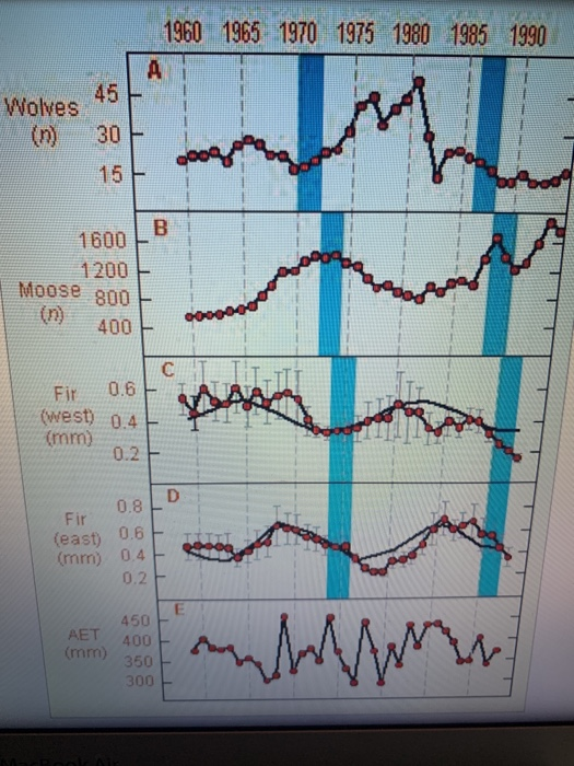 The moose hut case study answers 06 picture
