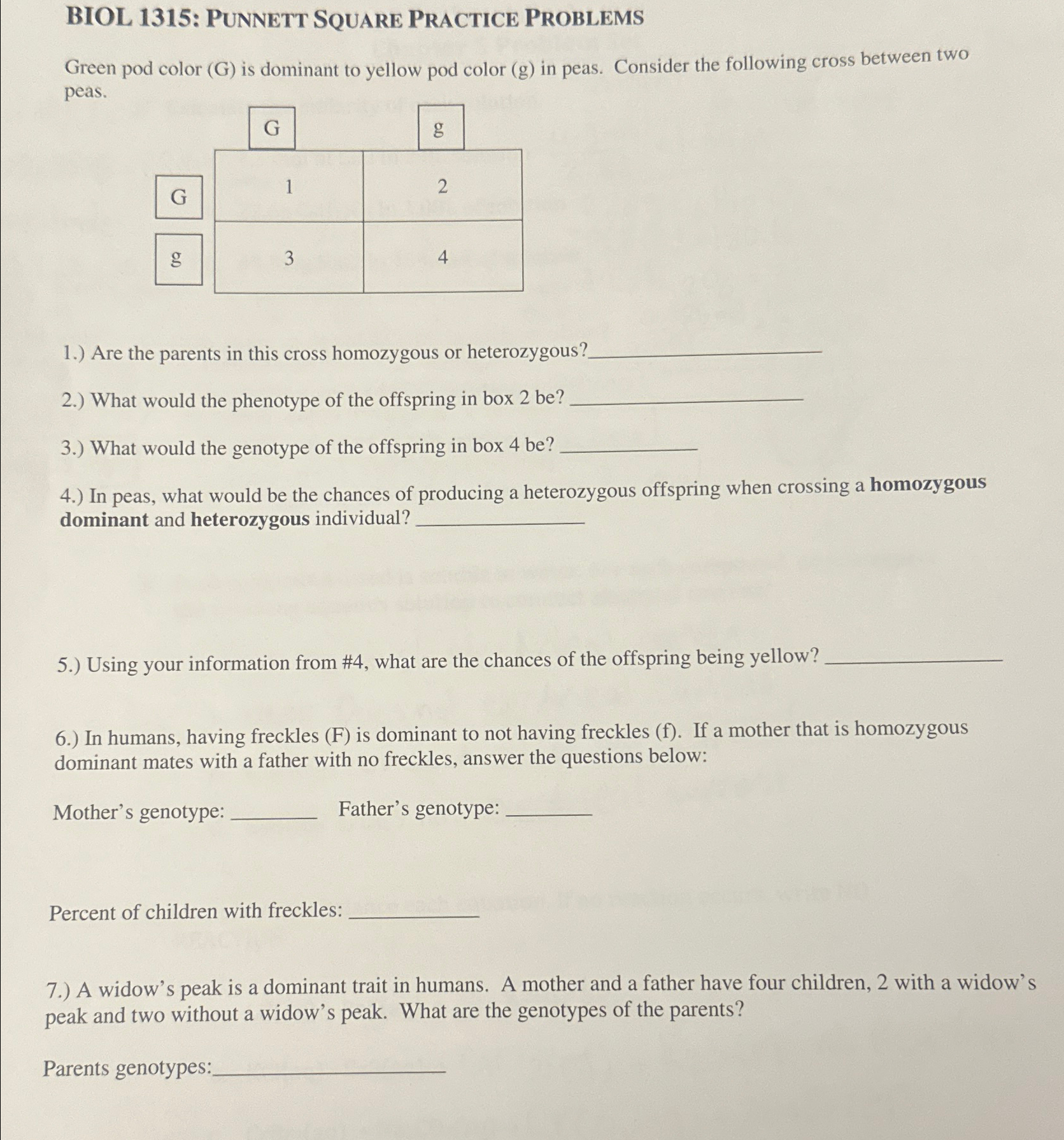 Solved BIOL 1315: PUnNetT SQUARE Practice ProblemSGreen pod | Chegg.com