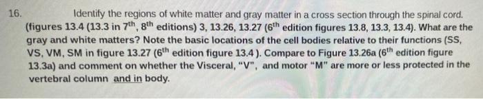 Solved 16. Identify the regions of white matter and gray | Chegg.com