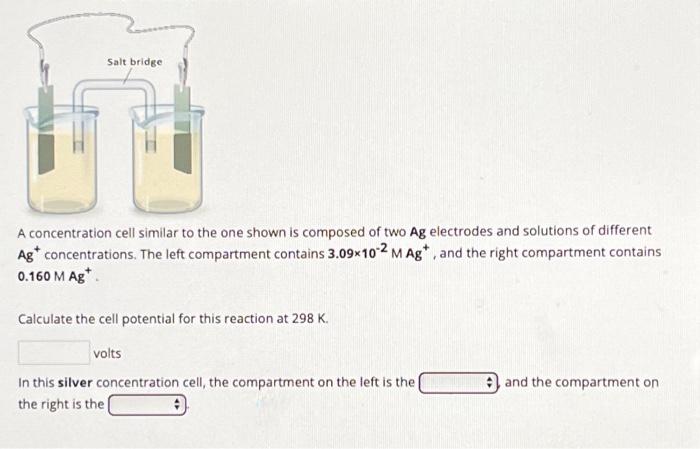 Solved A Cell Biologist Observes That The Concentration Of Chegg Com
