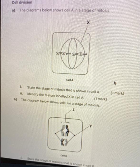 Solved Cell division a) The diagrams below shows cell A in a | Chegg.com