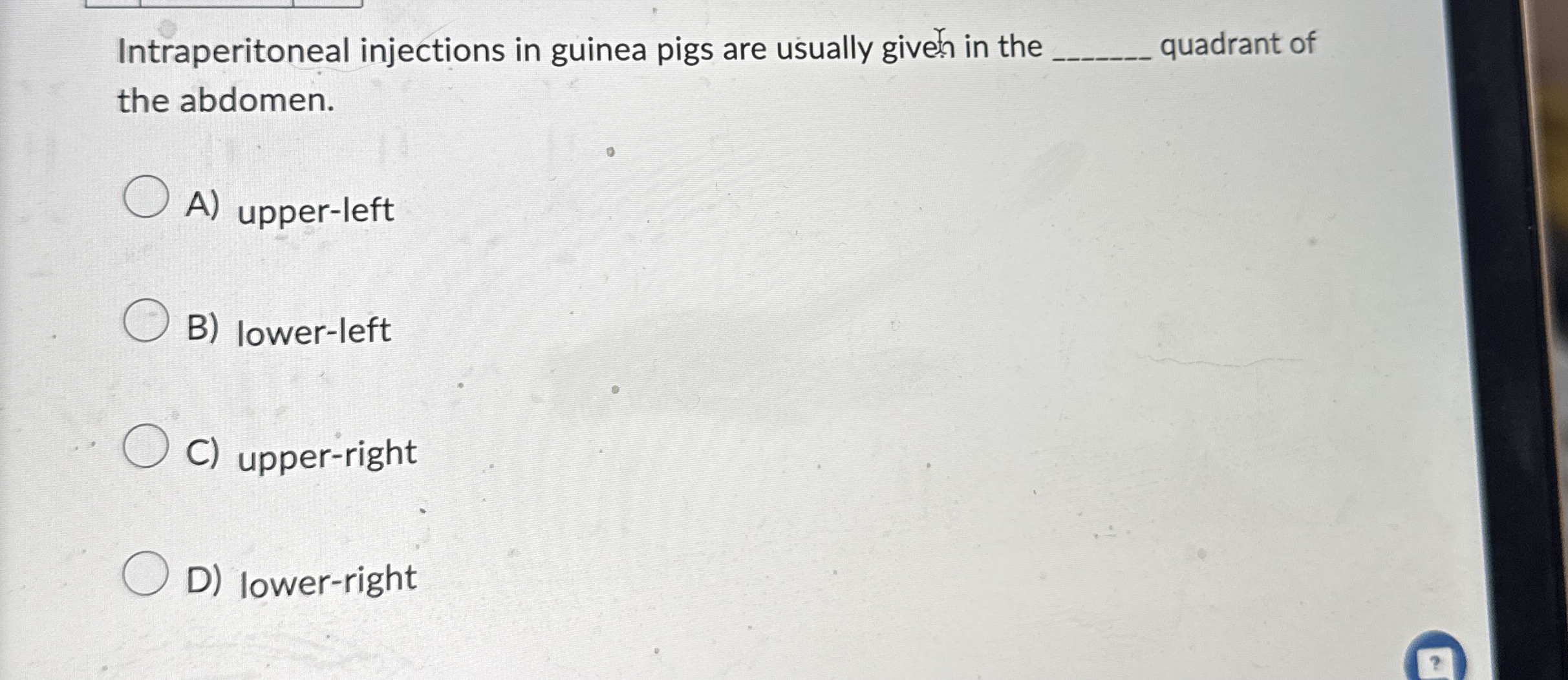 Intraperitoneal injections in guinea pigs are usually | Chegg.com