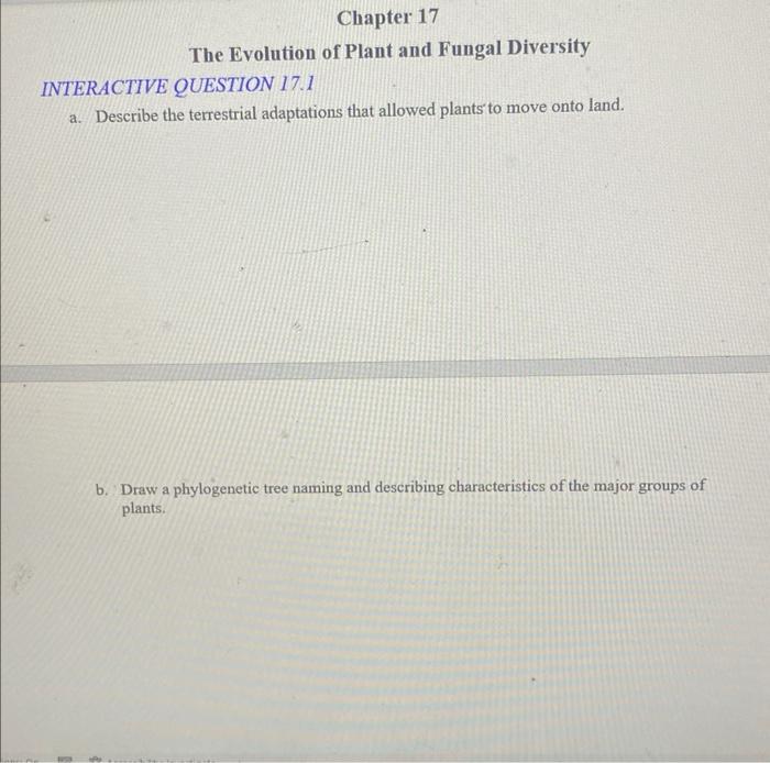 Solved The Evolution of Plant and Fungal Diversity